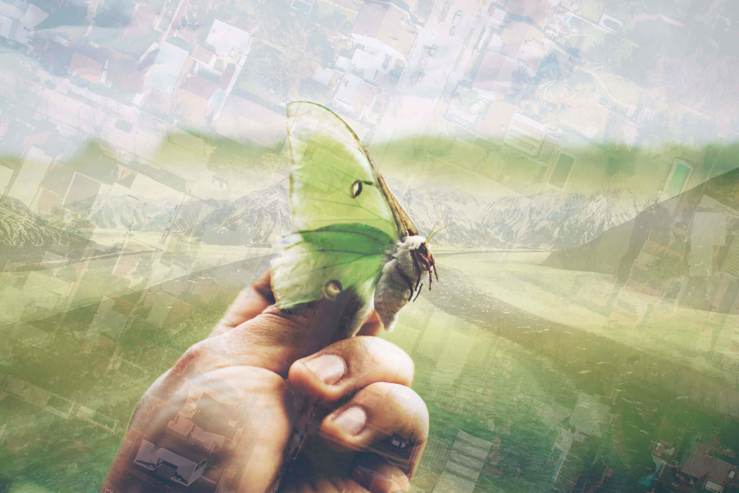 Corporate Responsibility