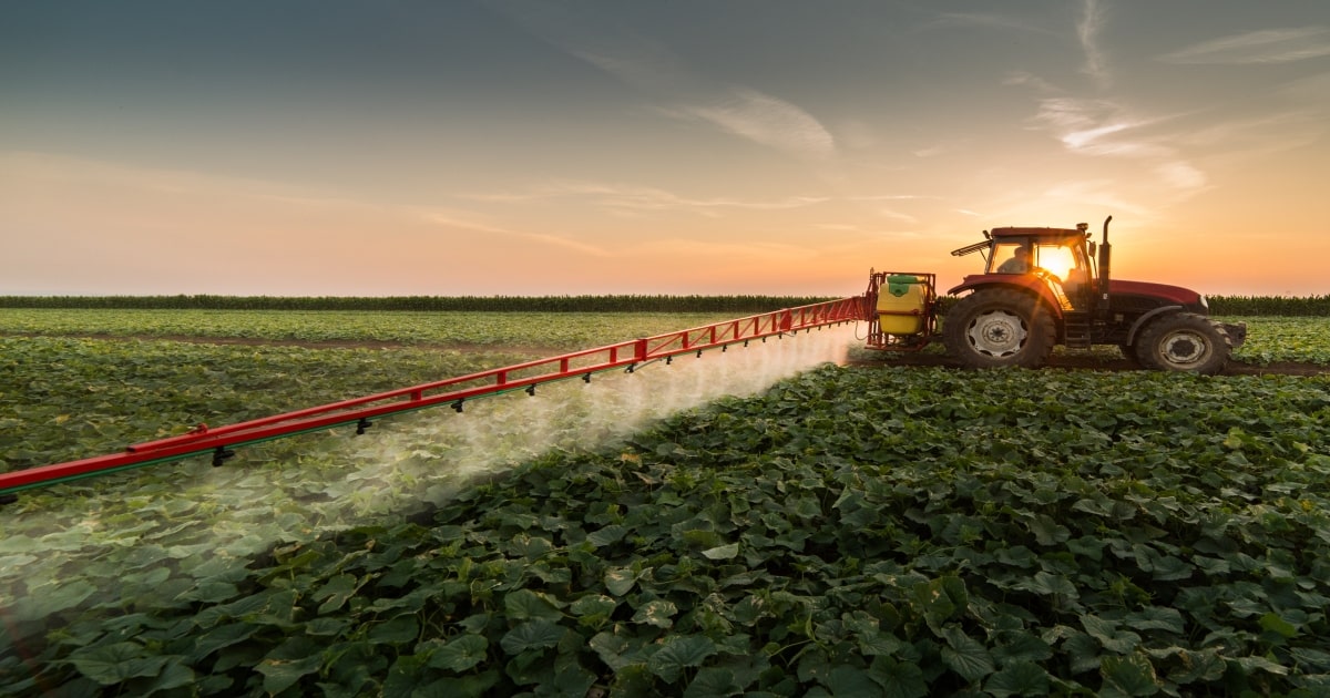 Sowing the Seeds of Success with Agriculture Insurance 