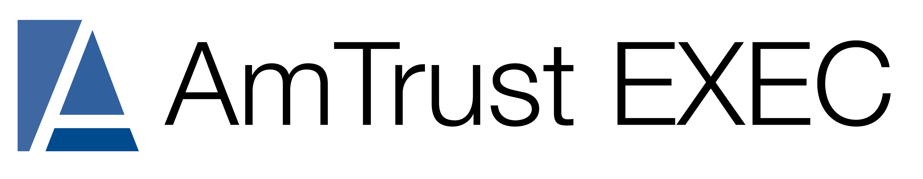 AFSI Exec Logo