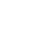 AmTrust Financial