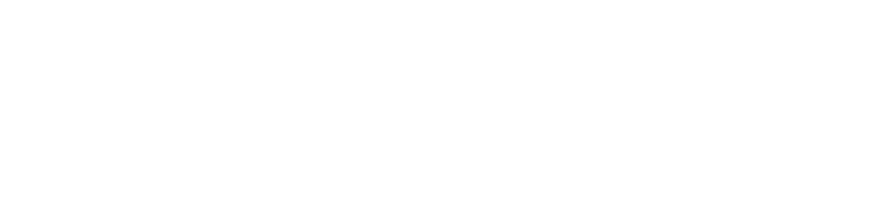 AFSI Logo