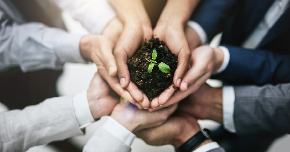 eco-friendly tips for small businesses