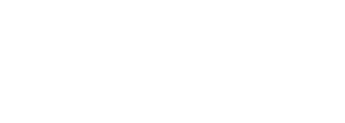 AFSI AmTrust International image